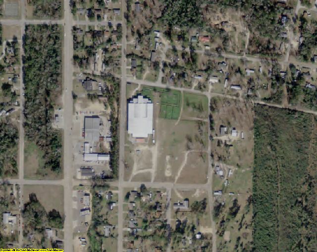 Jasper County, TX aerial photography detail