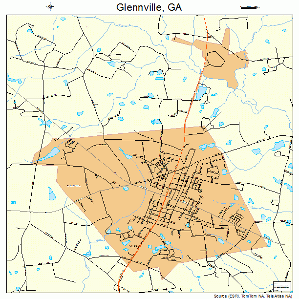 Glennville Georgia Street Map 1333336