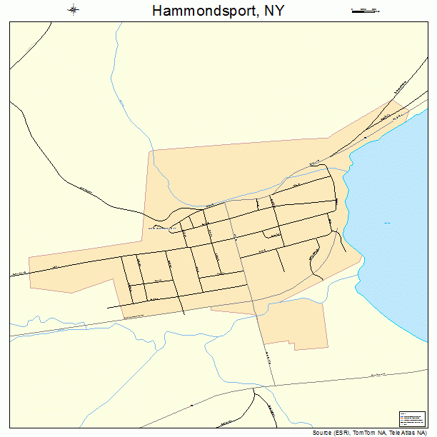 Hammondsport New York Street Map 3631852