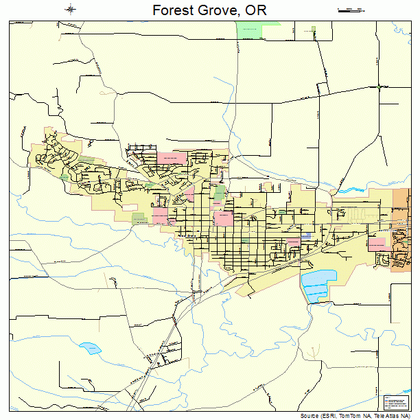 Forest Grove Oregon Street Map 4126200