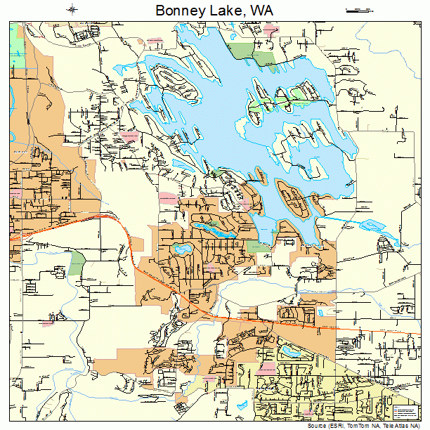 Bonney Lake Washington Street Map 5307170