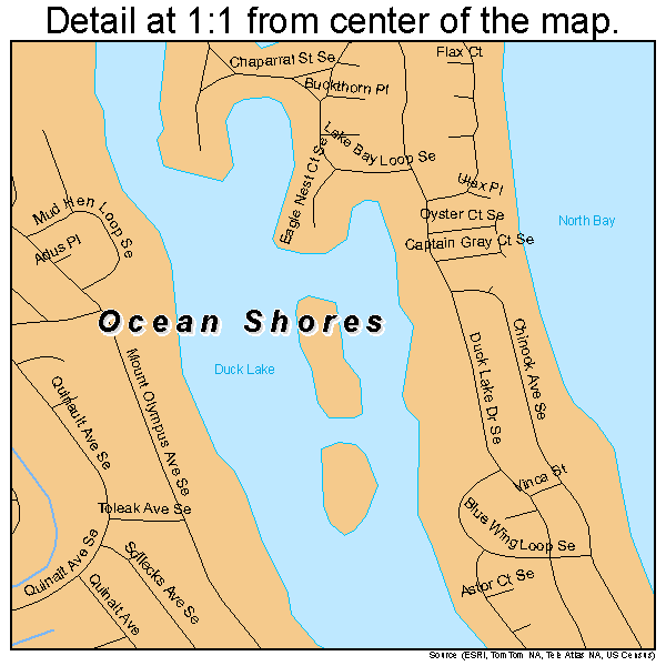 ocean-shores-washington-street-map-5350570