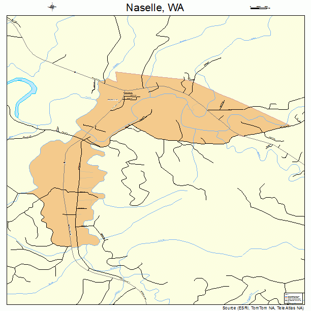Naselle Washington Street Map 5348 pic pic picture