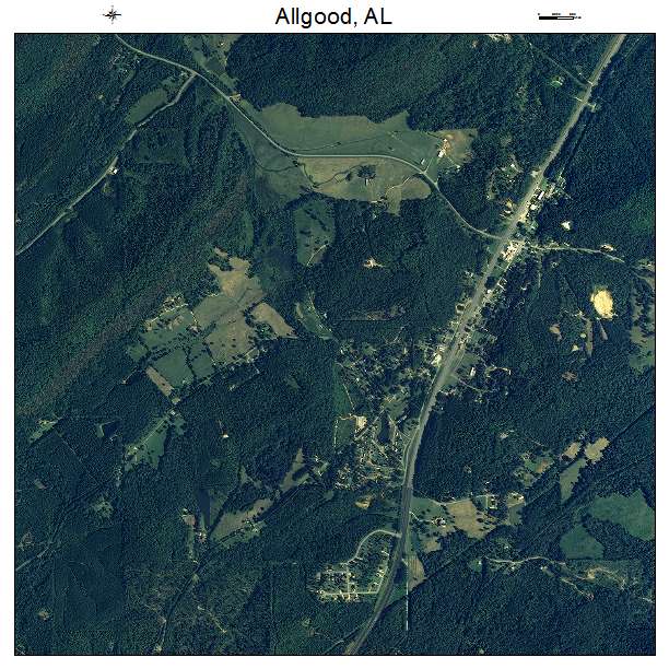 Allgood, AL air photo map