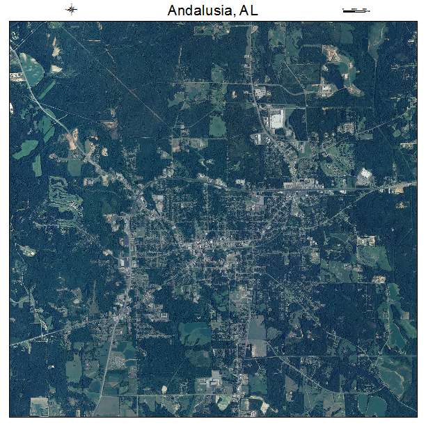 Andalusia, AL air photo map