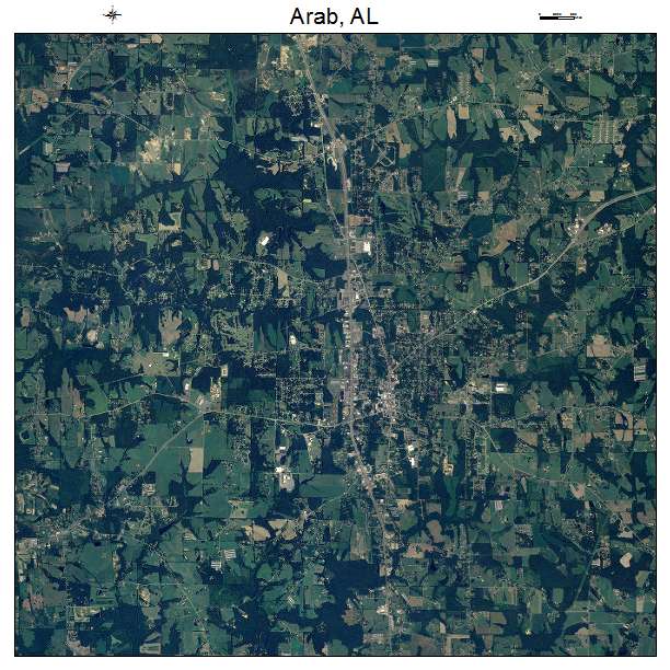 Arab, AL air photo map