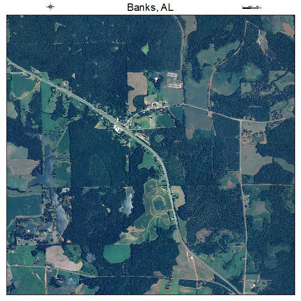 Banks, AL air photo map