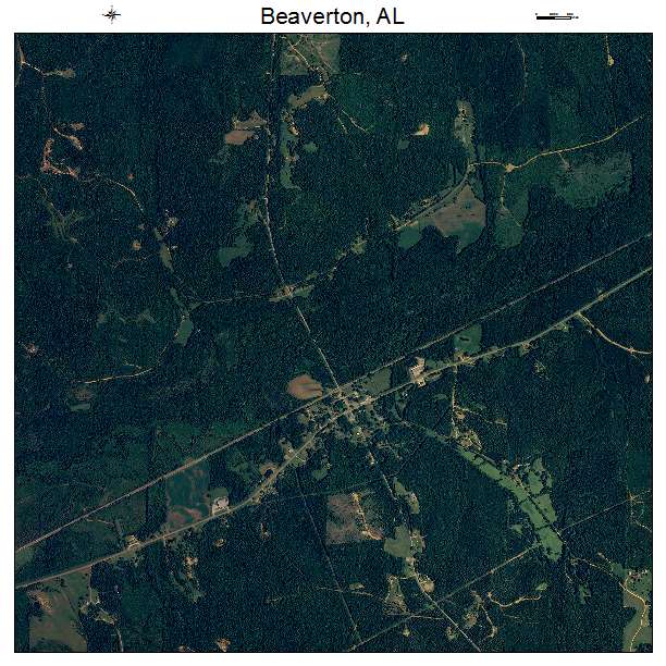 Beaverton, AL air photo map