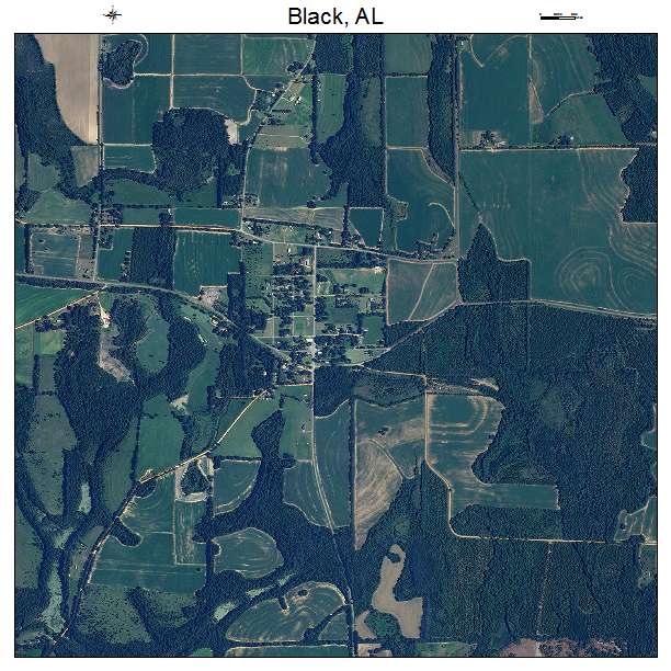 Black, AL air photo map