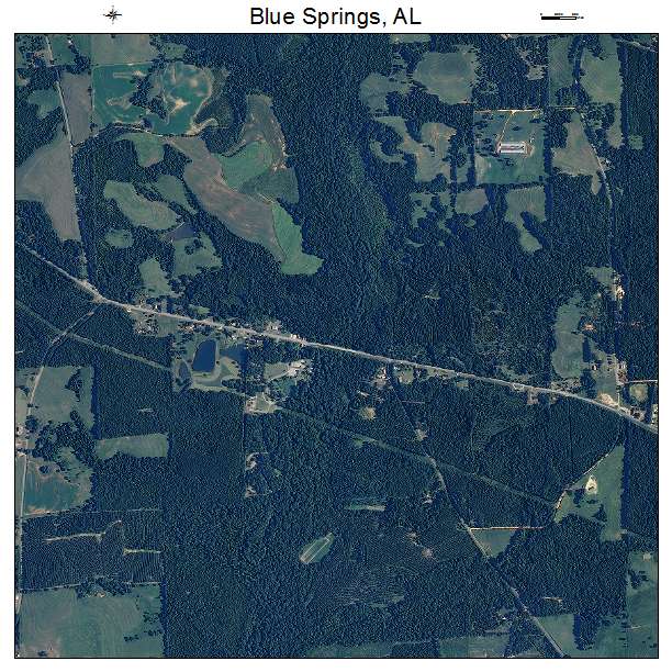 Blue Springs, AL air photo map