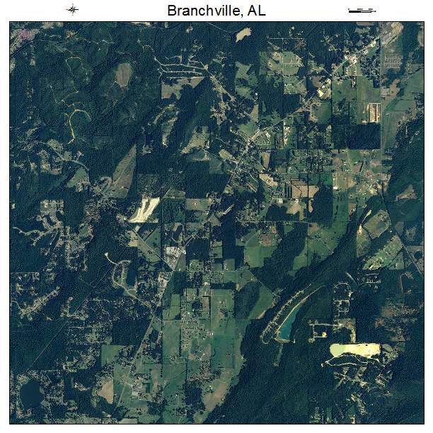 Branchville, AL air photo map