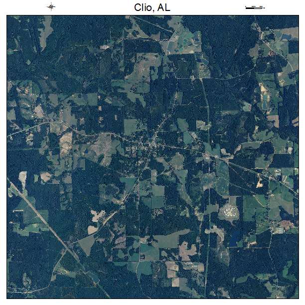 Clio, AL air photo map