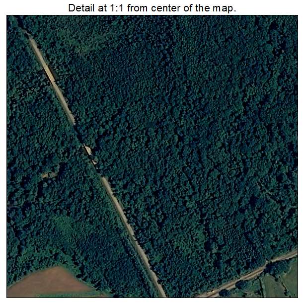 Beaverton, Alabama aerial imagery detail