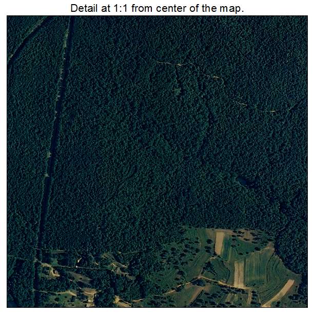 Brilliant, Alabama aerial imagery detail
