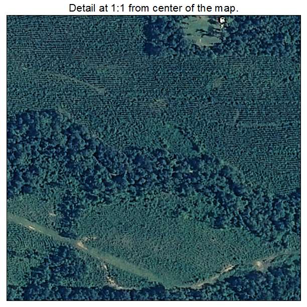 Castleberry, Alabama aerial imagery detail