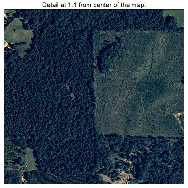Forkland, Alabama aerial imagery detail