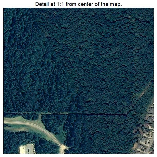 Lake Purdy, Alabama aerial imagery detail