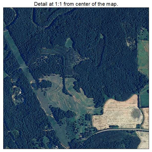 Newton, Alabama aerial imagery detail