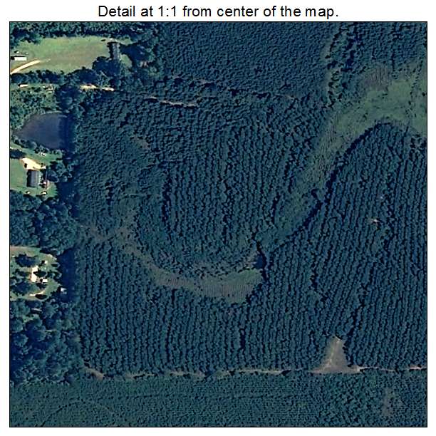 Pennington, Alabama aerial imagery detail
