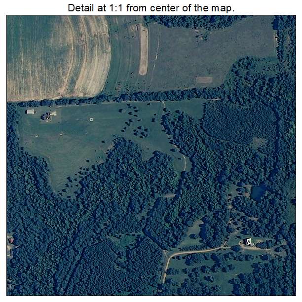 Pinckard, Alabama aerial imagery detail