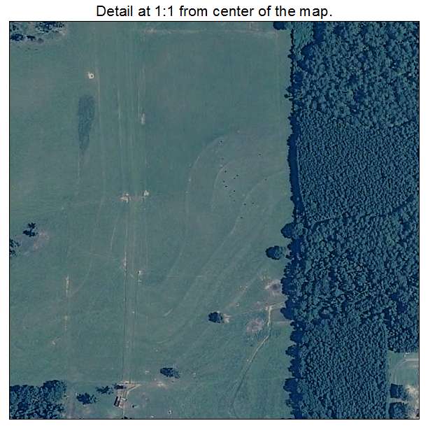 Rutledge, Alabama aerial imagery detail
