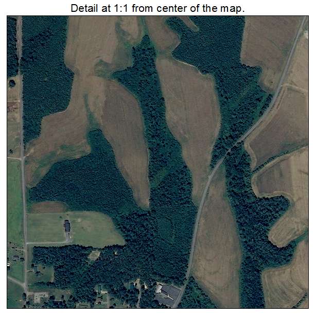 Section, Alabama aerial imagery detail