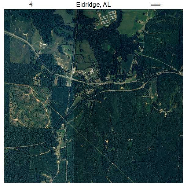 Eldridge, AL air photo map