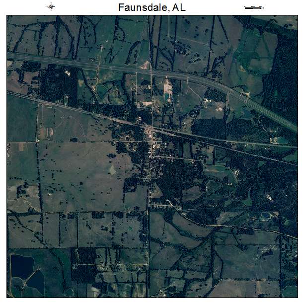 Faunsdale, AL air photo map