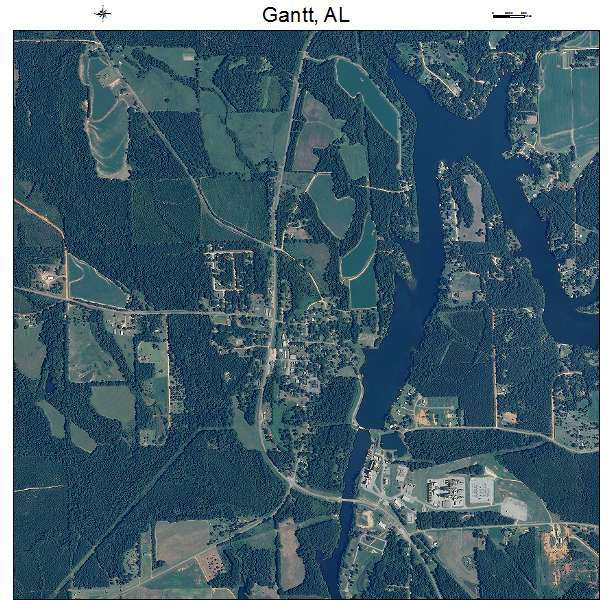 Gantt, AL air photo map