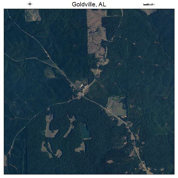 Goldville, AL air photo map