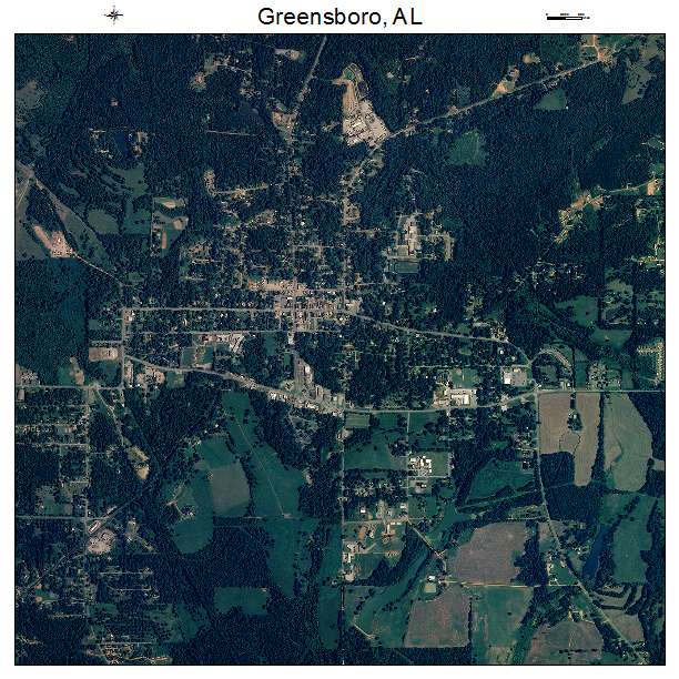Greensboro, AL air photo map