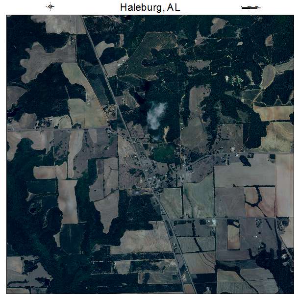 Haleburg, AL air photo map