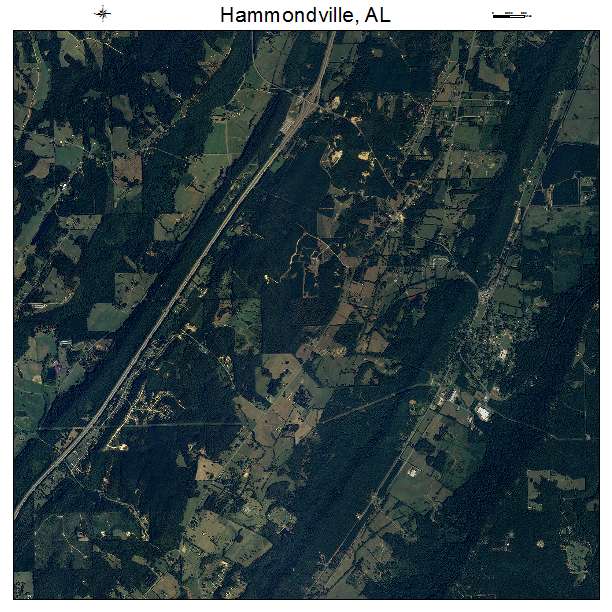 Hammondville, AL air photo map
