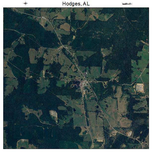 Hodges, AL air photo map