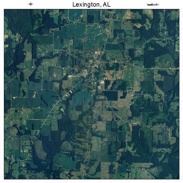 Lexington, AL air photo map