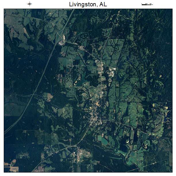 Livingston, AL air photo map