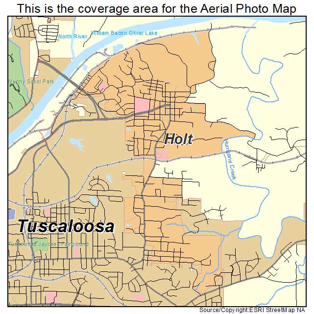 Holt, AL location map 