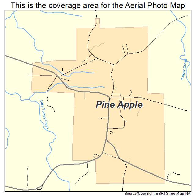 Pine Apple, AL location map 