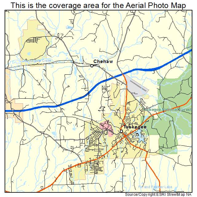 Tuskegee, AL location map 