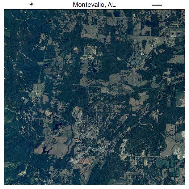 Montevallo, AL air photo map