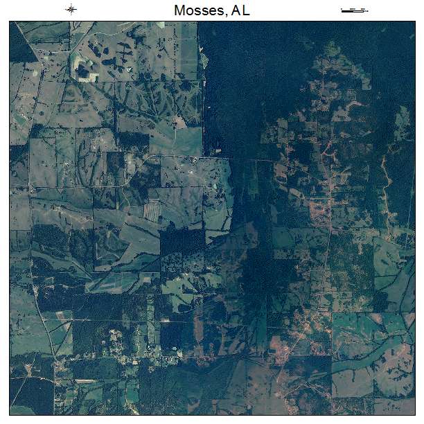 Mosses, AL air photo map