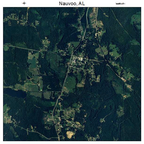 Nauvoo, AL air photo map