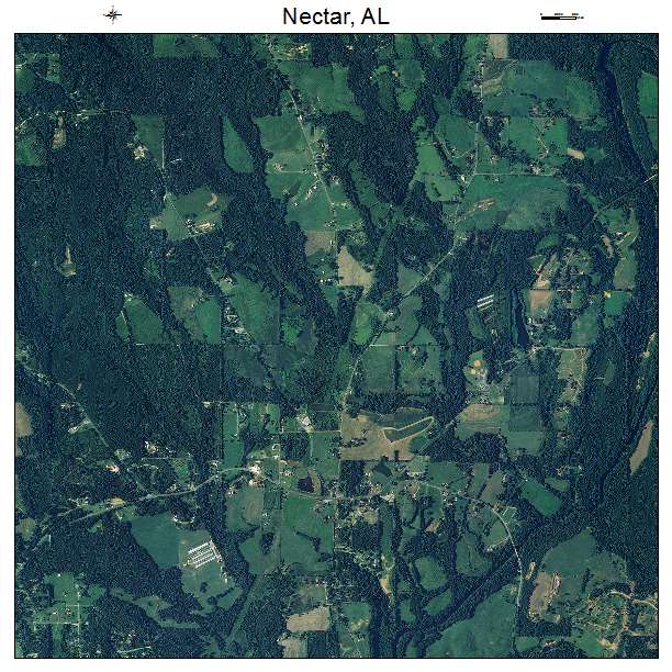 Nectar, AL air photo map