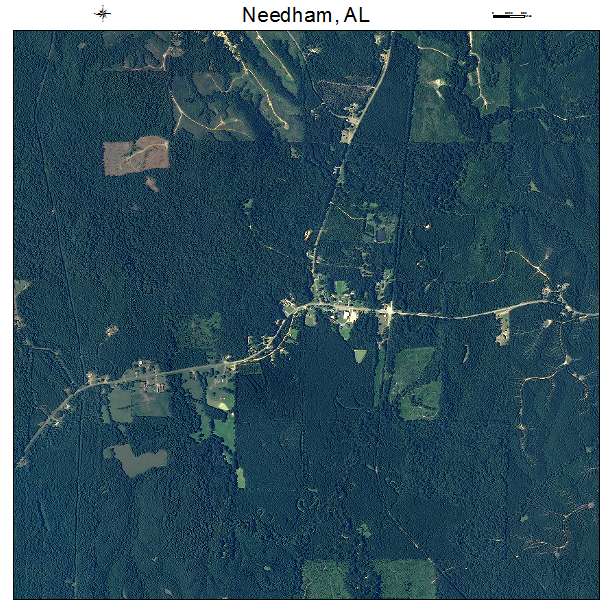 Needham, AL air photo map