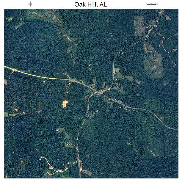 Oak Hill, AL air photo map