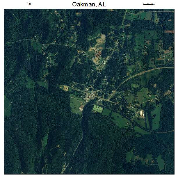 Oakman, AL air photo map