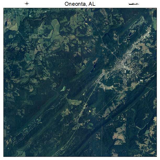 Oneonta, AL air photo map