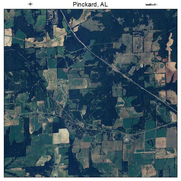 Pinckard, AL air photo map