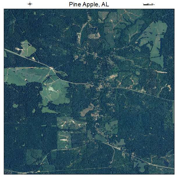 Pine Apple, AL air photo map