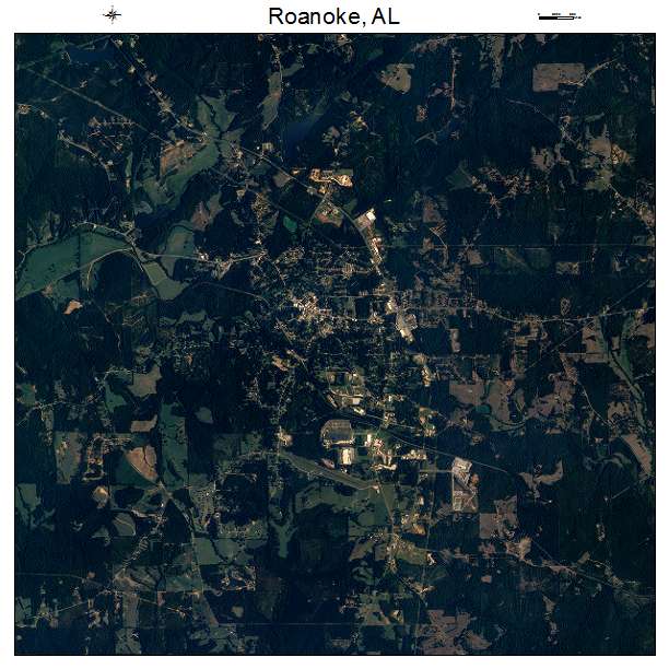 Roanoke, AL air photo map